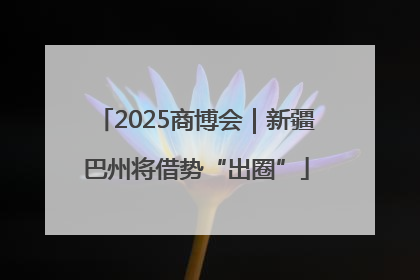 2025商博会｜新疆巴州将借势“出圈”