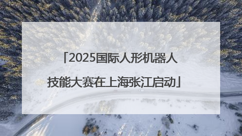 2025国际人形机器人技能大赛在上海张江启动