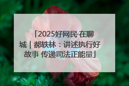 2025好网民·在聊城｜郝轶林：讲述执行好故事 传递司法正能量