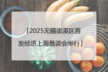 2025无锡梁溪区首发经济上海恳谈会举行