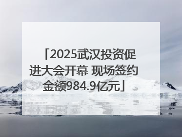2025武汉投资促进大会开幕 现场签约金额984.9亿元