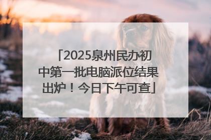 2025泉州民办初中第一批电脑派位结果出炉！今日下午可查