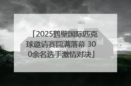2025鹤壁国际匹克球邀请赛圆满落幕 300余名选手激情对决