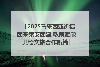 2025马来西亚祈福团来泰安团建 政策赋能共绘文旅合作新篇