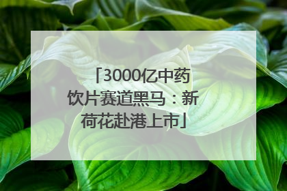 3000亿中药饮片赛道黑马：新荷花赴港上市