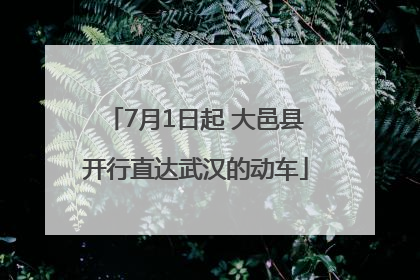 7月1日起 大邑县开行直达武汉的动车