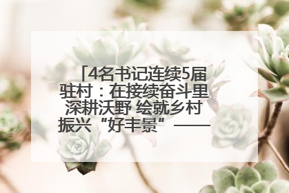 4名书记连续5届驻村：在接续奋斗里深耕沃野 绘就乡村振兴“好丰景”——浦发银行南京分行助力脱贫攻坚、帮促乡村振兴记事（二）