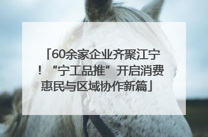 60余家企业齐聚江宁！“宁工品推”开启消费惠民与区域协作新篇