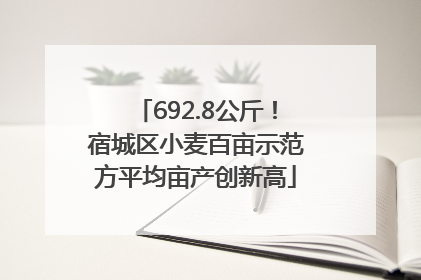 692.8公斤！宿城区小麦百亩示范方平均亩产创新高