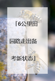 6公里田园路走出备考新状态