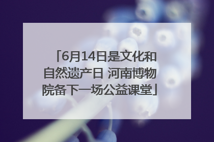 6月14日是文化和自然遗产日 河南博物院备下一场公益课堂