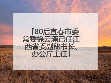 80后宜春市委常委徐云涌已任江西省委副秘书长、办公厅主任
