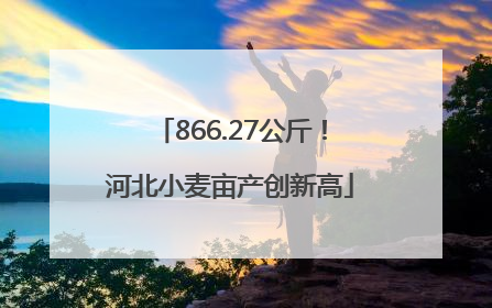 866.27公斤！河北小麦亩产创新高