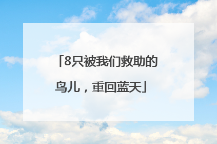 8只被我们救助的鸟儿，重回蓝天