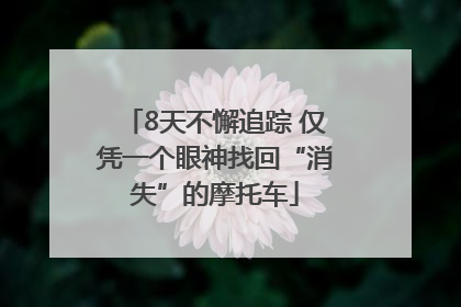 8天不懈追踪 仅凭一个眼神找回“消失”的摩托车