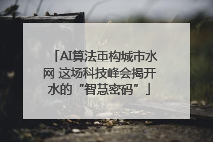 AI算法重构城市水网 这场科技峰会揭开水的“智慧密码”