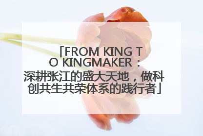 FROM KING TO KINGMAKER：深耕张江的盛大天地，做科创共生共荣体系的践行者